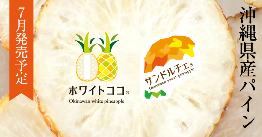 沖縄県産パイン ホワイトココ®、サンドルチェ®7月発売予定