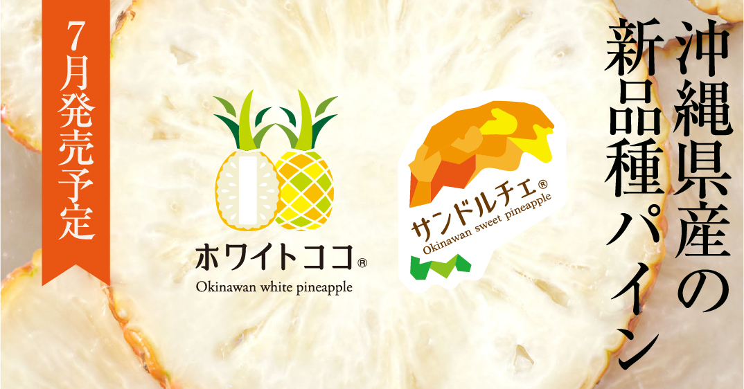 沖縄県産の新品種パイン 7月発売予定
